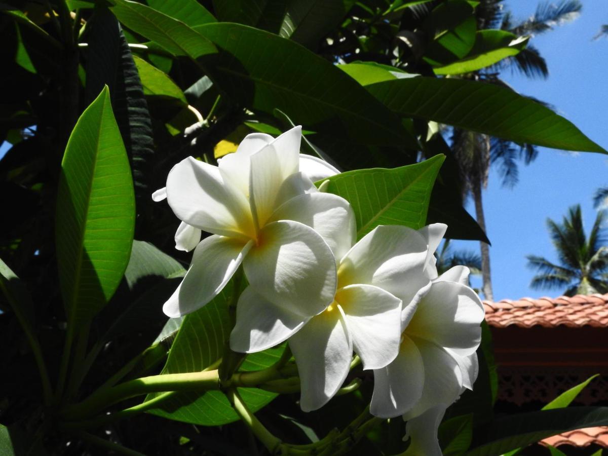 Laura Guest House-Adult Only- Hua Thanon  Exterior foto